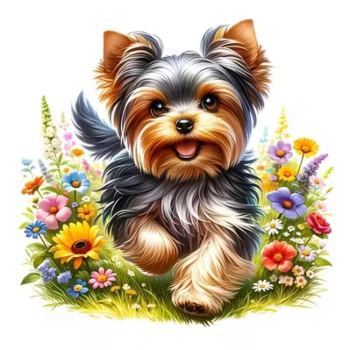 Vinylová samolepka Yorkshire