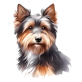 Nažehlovací obrázek psí pohled