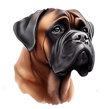 Nažehlovací obrázek psí pohled