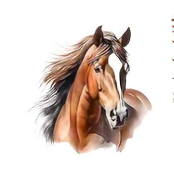 Nažehlovací obrázek kůň