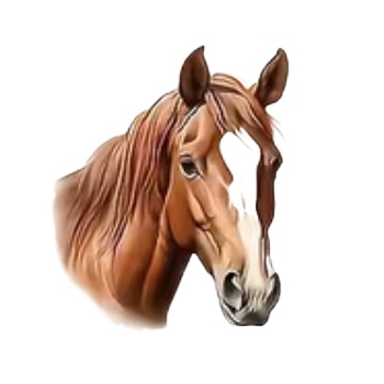 Nažehlovací obrázek kůň