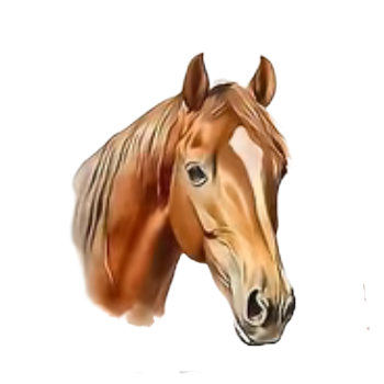 Nažehlovací obrázek kůň