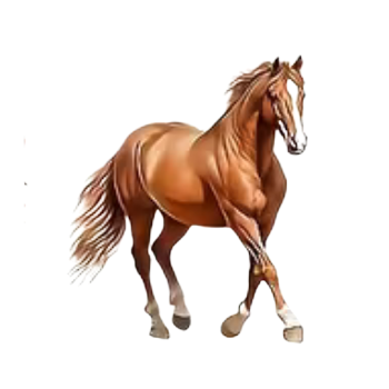 Nažehlovací obrázek kůň