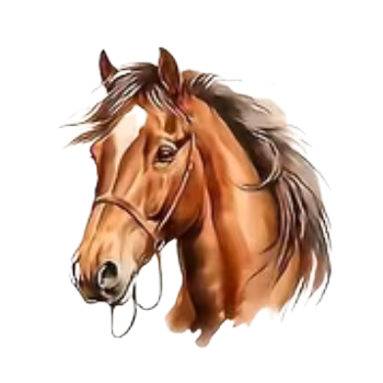 Nažehlovací obrázek kůň