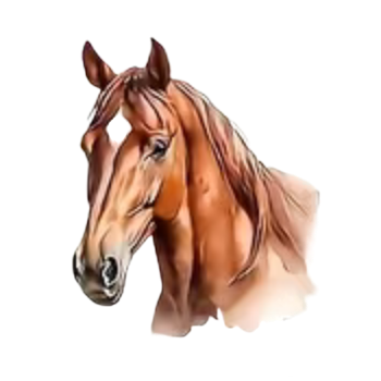 Nažehlovací obrázek kůň