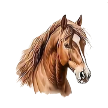 Nažehlovací obrázek kůň