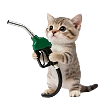 Vinylová samolepka kočka