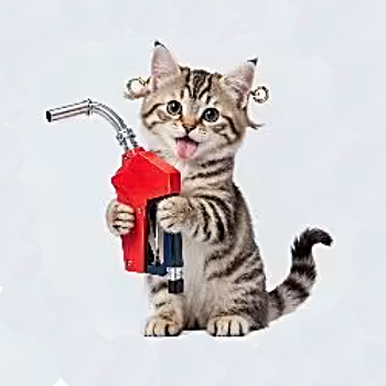 Vinylová samolepka kočka