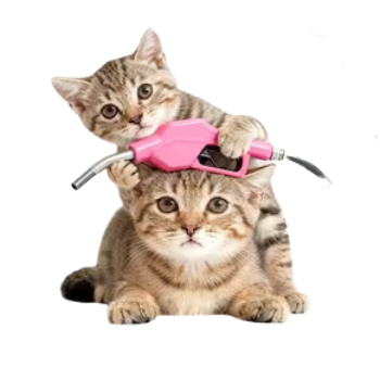 Vinylová samolepka koťata