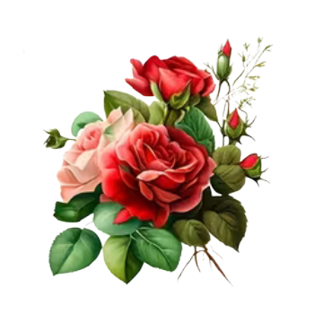 Nažehlovací obrázek růže