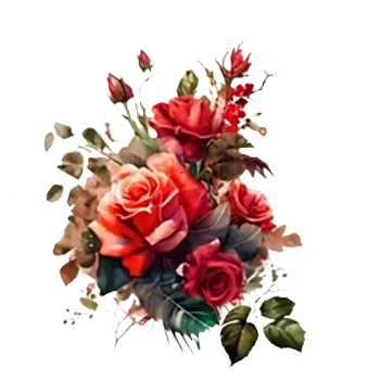 Nažehlovací obrázek růže